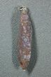 Blue/Pink/Green Dinosaur Gembone Twist Pendant #22522-2
